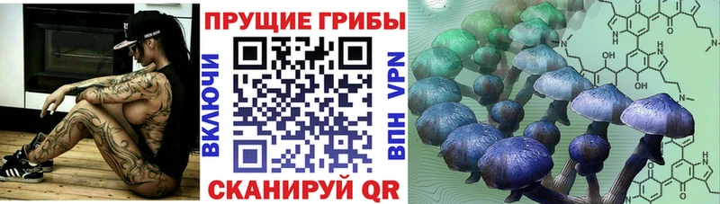 Псилоцибиновые грибы Magic Shrooms  Брюховецкая 
